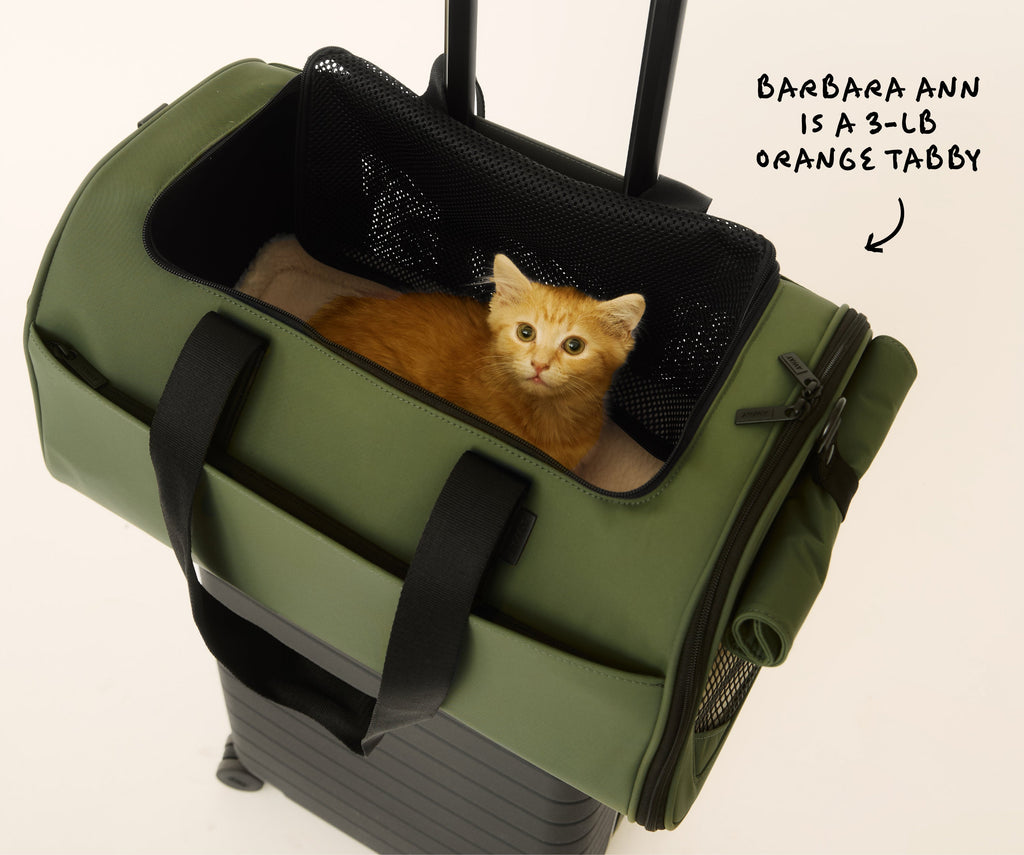 Away The Pet Carrier Travel Accessory - Olive Green