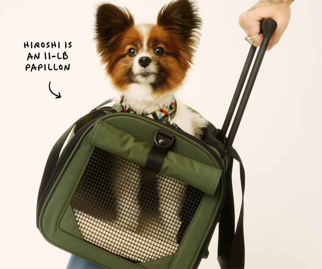 Away The Pet Carrier Travel Accessory - Olive Green