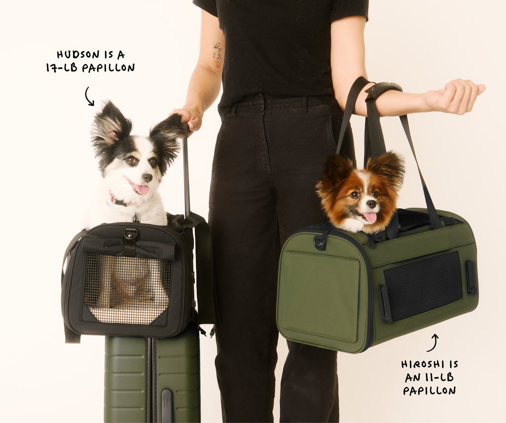 Away The Pet Carrier Travel Accessory - Olive Green