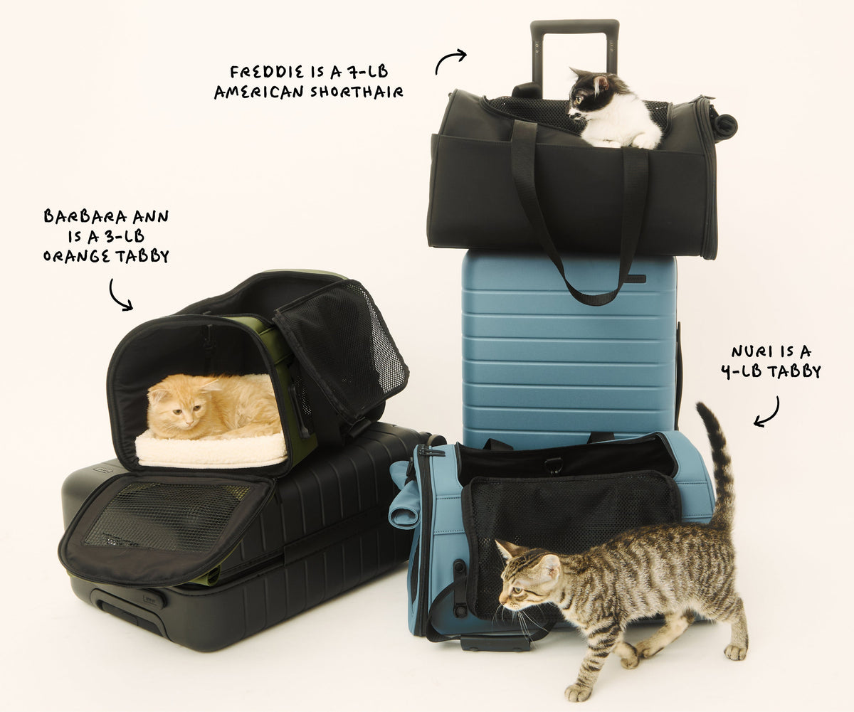 Away The Pet Carrier Travel Accessory - Jet Black
