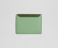 Away Card Case Travel Accessory - Sea Green