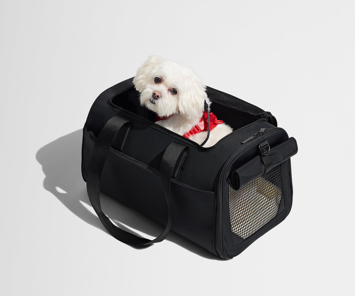 Away The Pet Carrier Travel Accessory - Jet Black