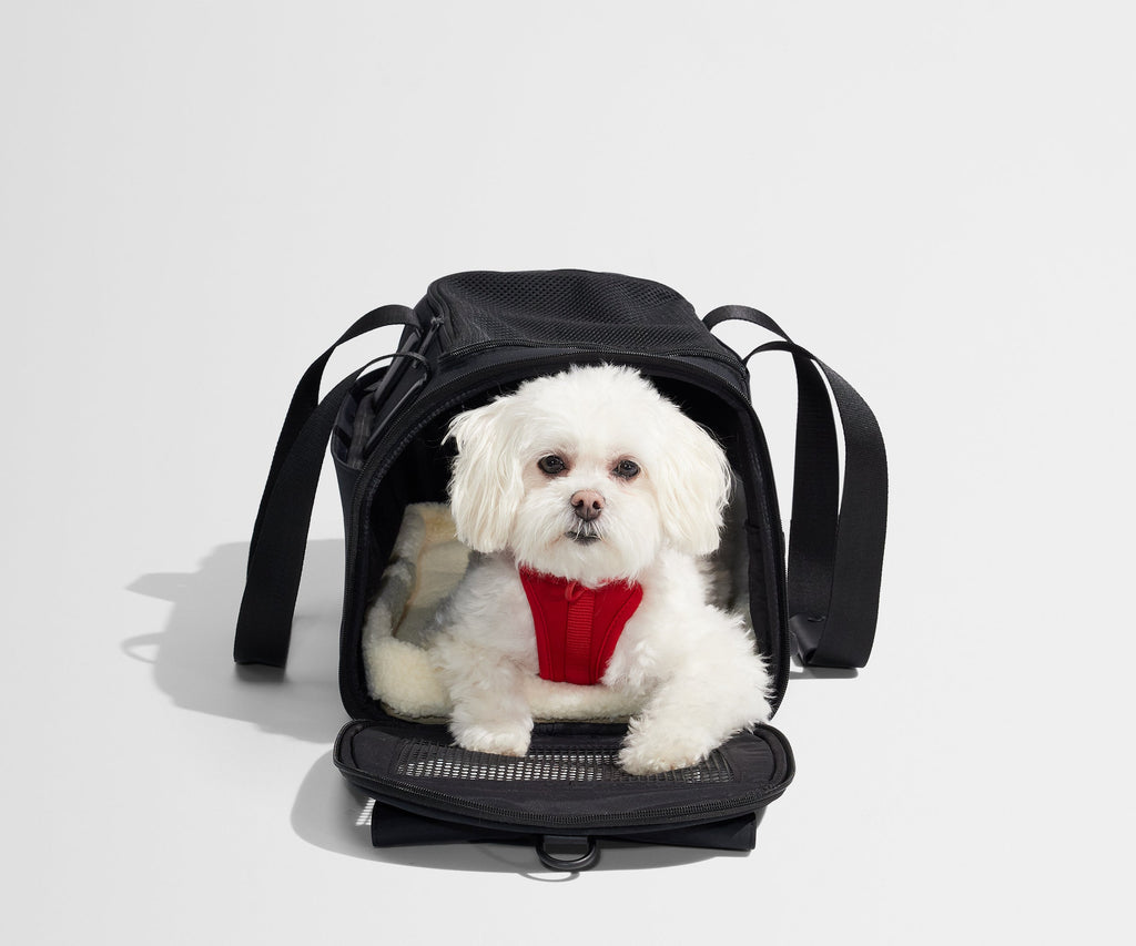 Away The Pet Carrier Travel Accessory - Jet Black