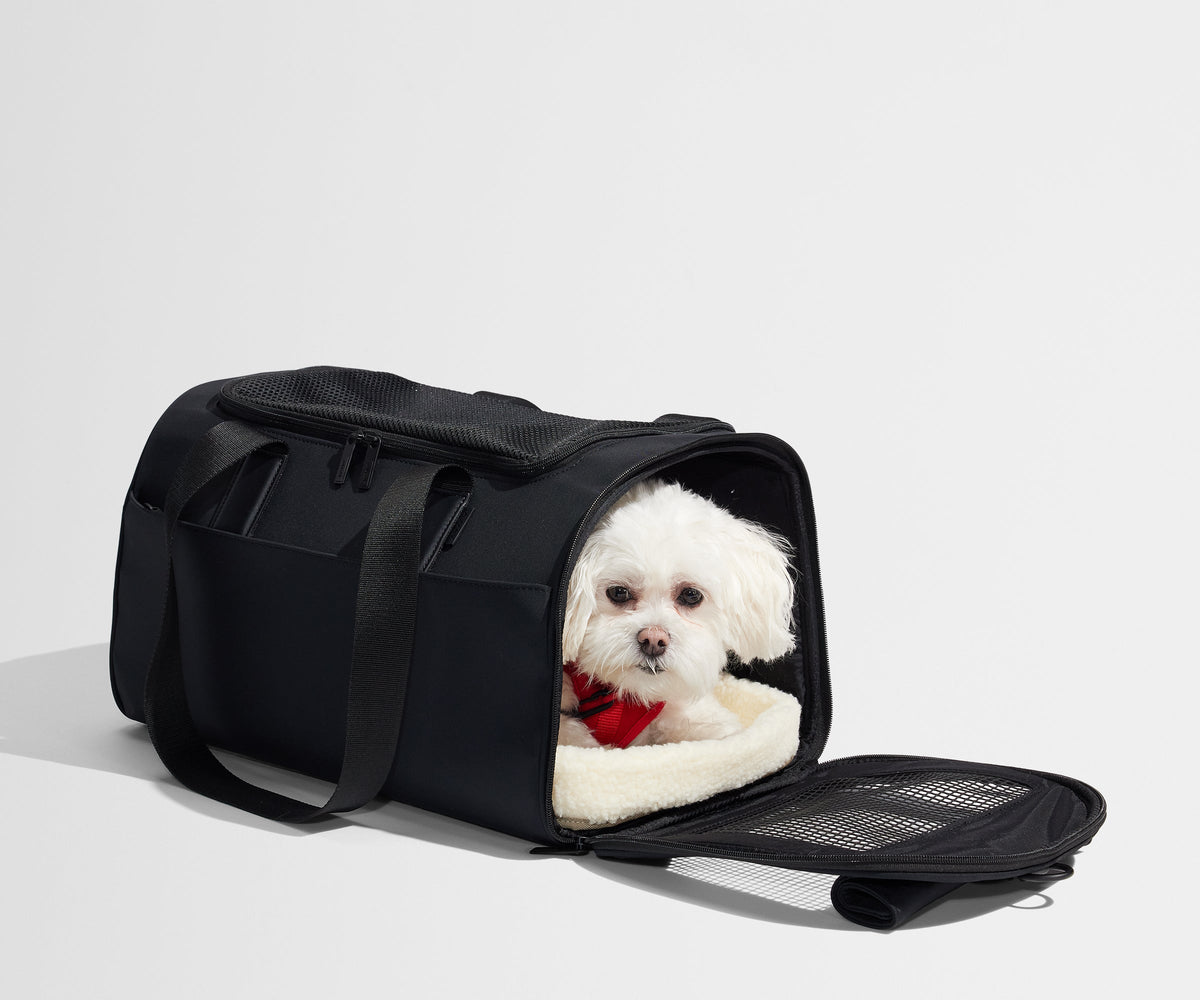 Away The Pet Carrier Travel Accessory - Jet Black