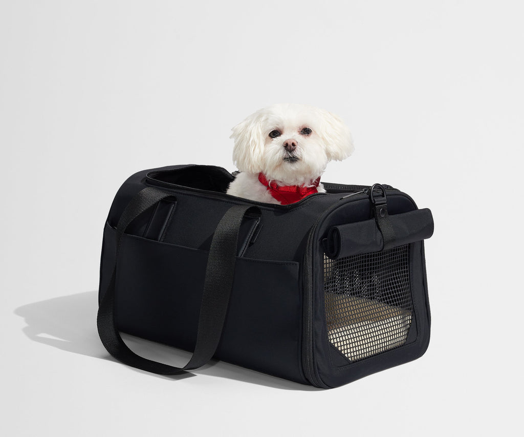 Away The Pet Carrier Travel Accessory - Jet Black