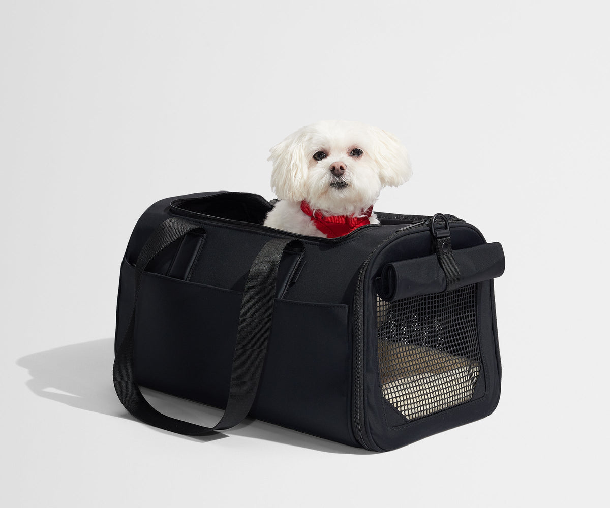 Away The Pet Carrier Travel Accessory - Jet Black