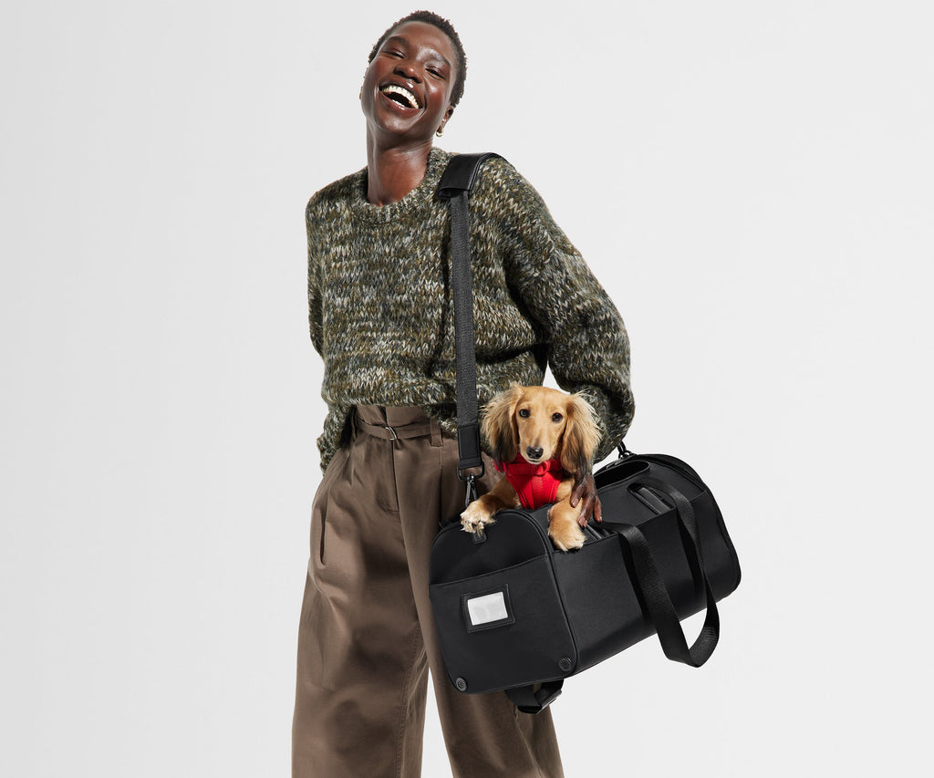 Away The Pet Carrier Travel Accessory - Jet Black
