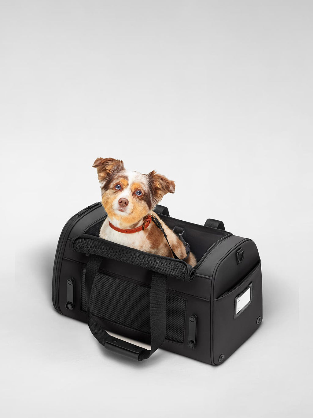 Away The Pet Carrier Suitcase
