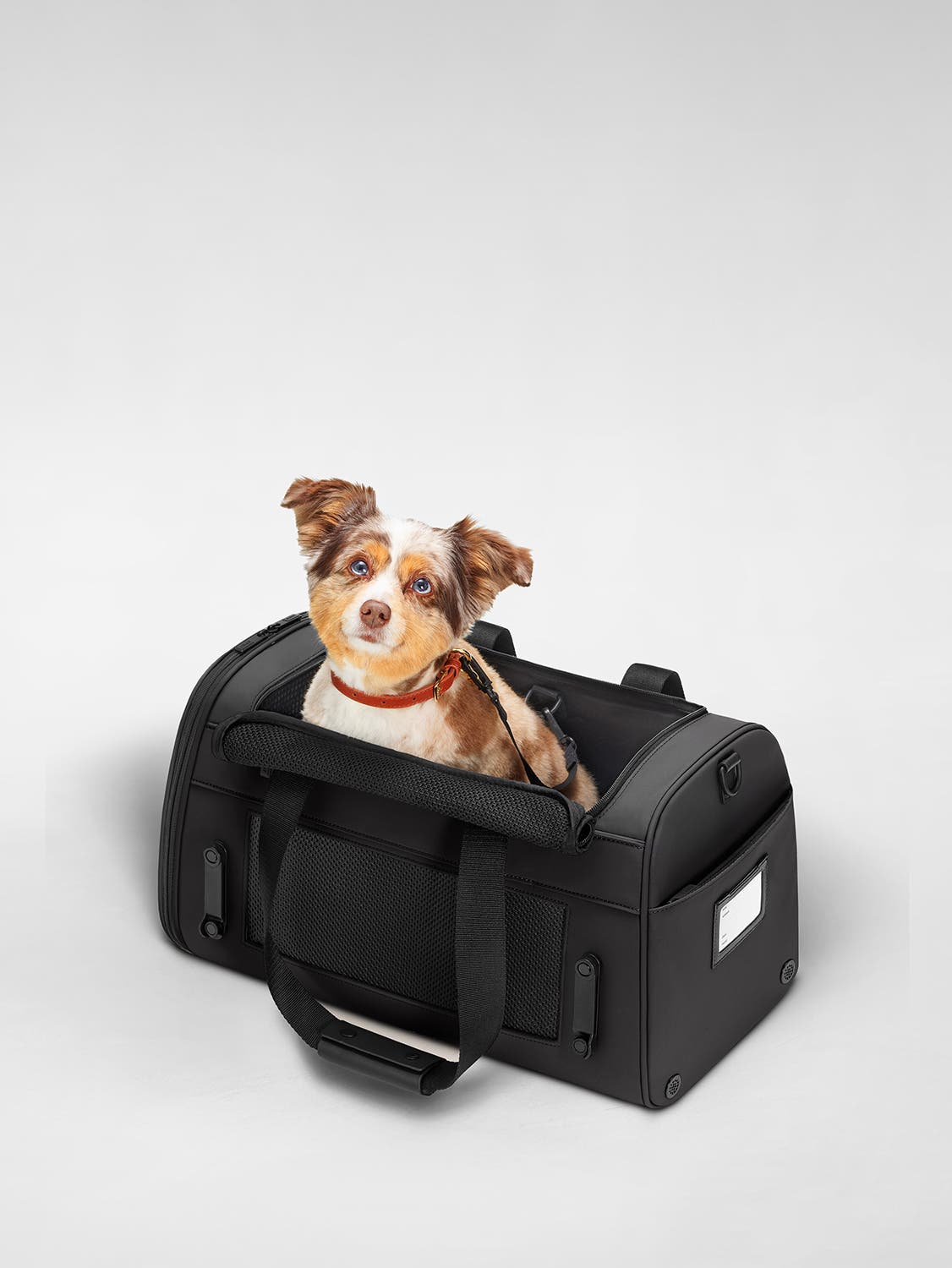 Away The Pet Carrier Suitcase