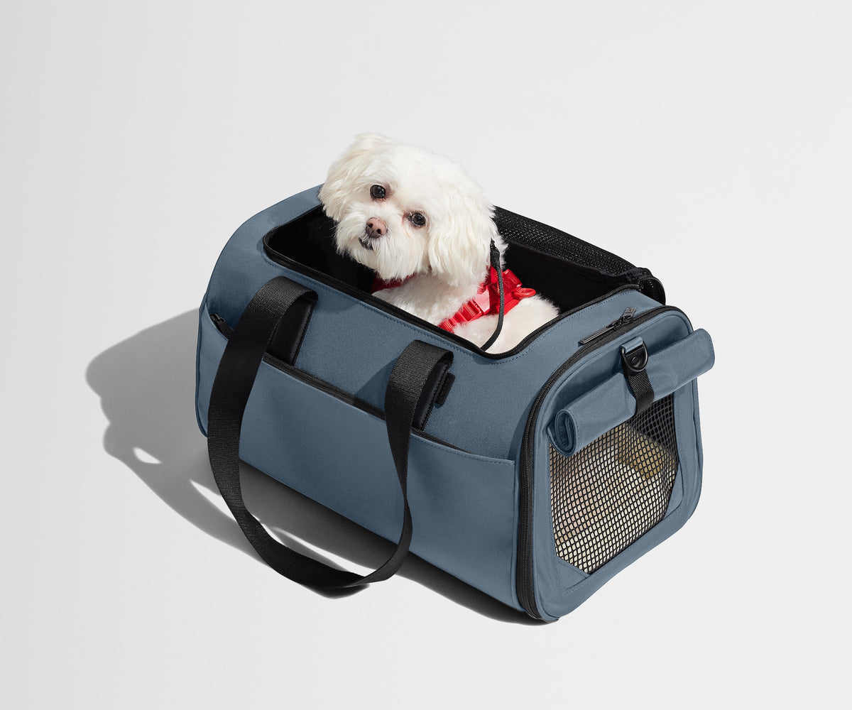 Away The Pet Carrier Travel Accessory - Coast Blue
