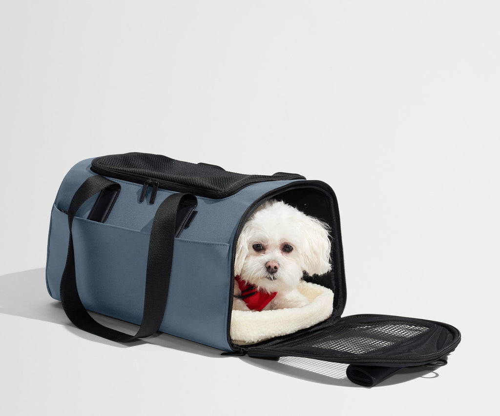 Away The Pet Carrier Travel Accessory - Coast Blue