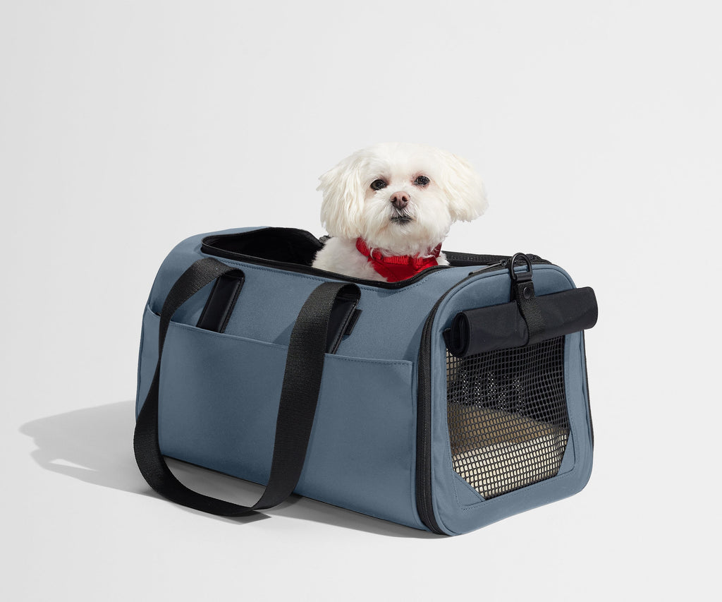 Away The Pet Carrier Travel Accessory - Coast Blue