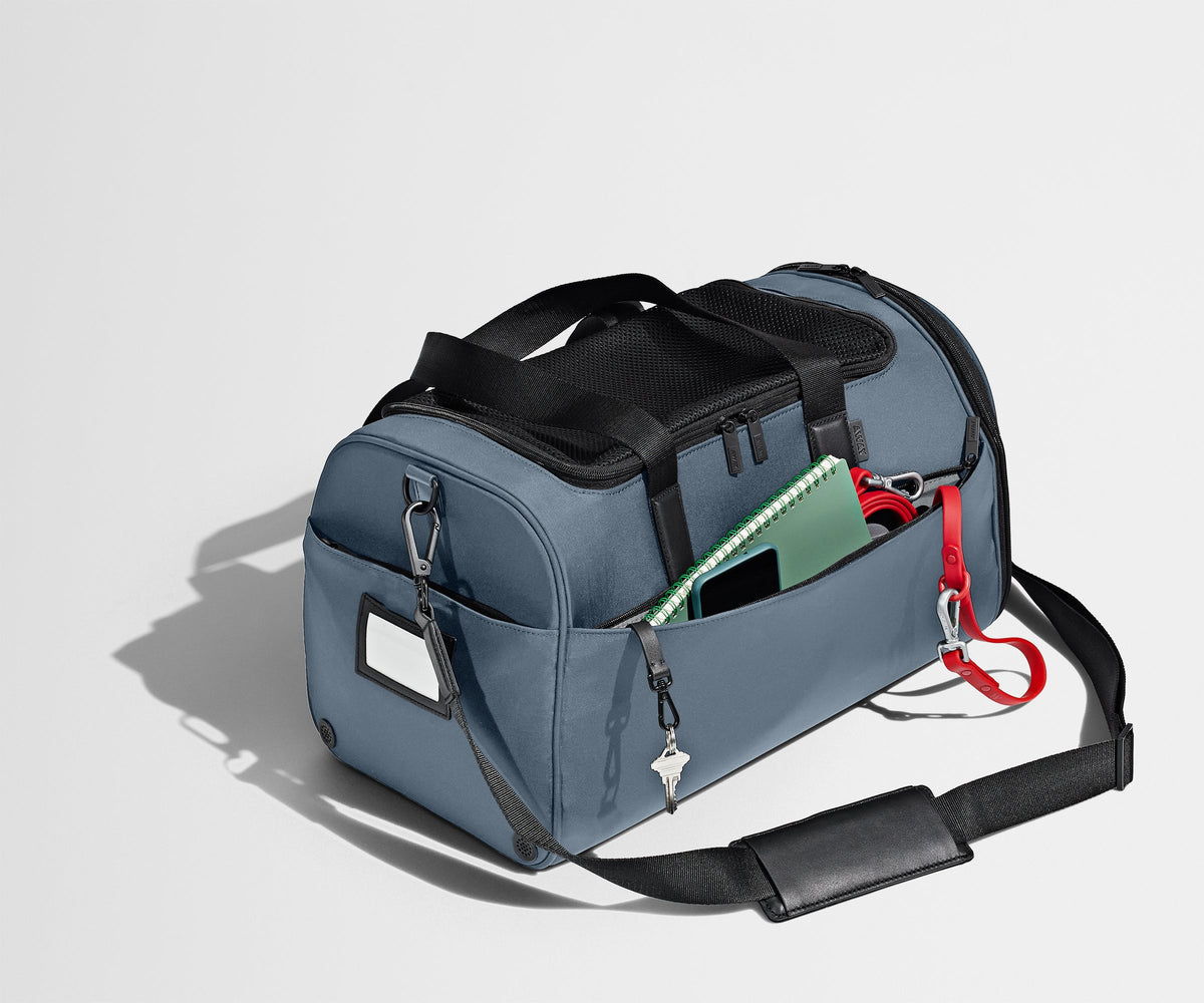 Away The Pet Carrier Travel Accessory - Coast Blue