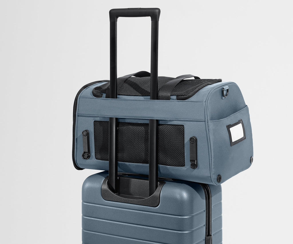 Away The Pet Carrier Travel Accessory - Coast Blue
