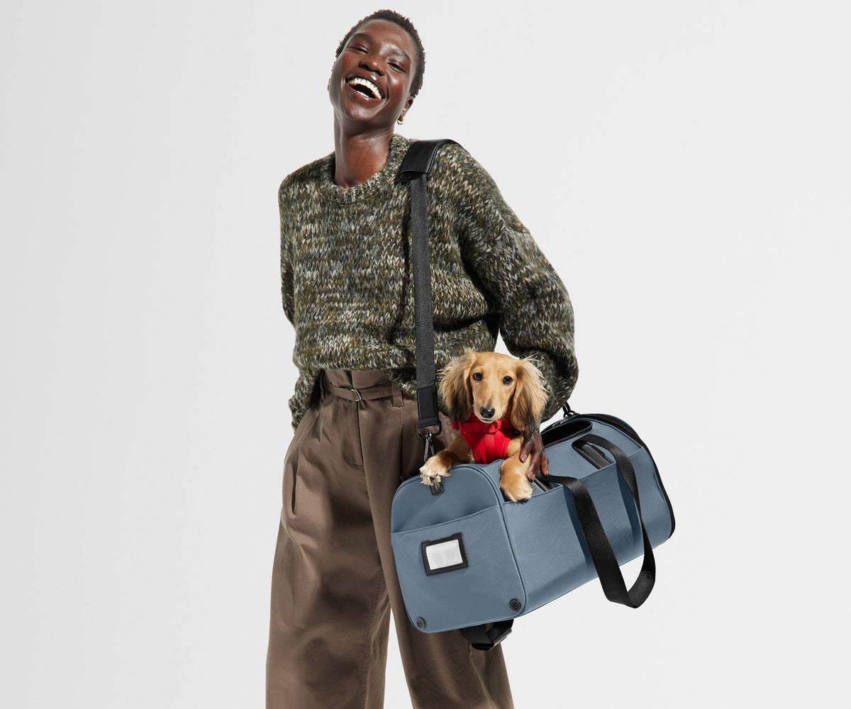 Away The Pet Carrier Travel Accessory - Coast Blue