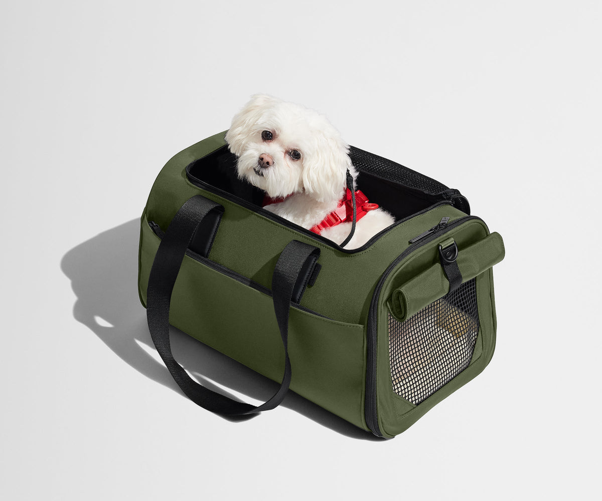 Away The Pet Carrier Travel Accessory - Olive Green