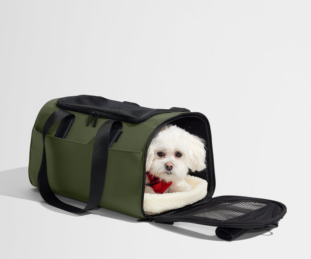 Away The Pet Carrier Travel Accessory - Olive Green