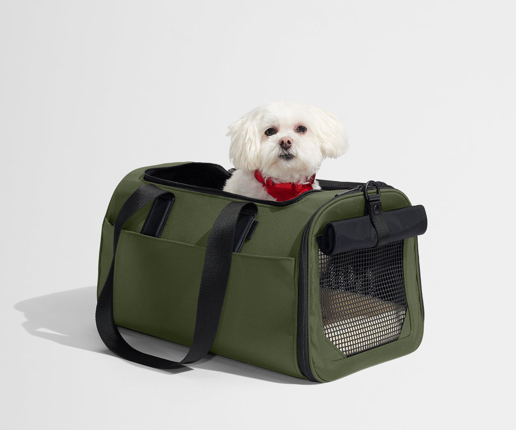 Away The Pet Carrier Travel Accessory - Olive Green